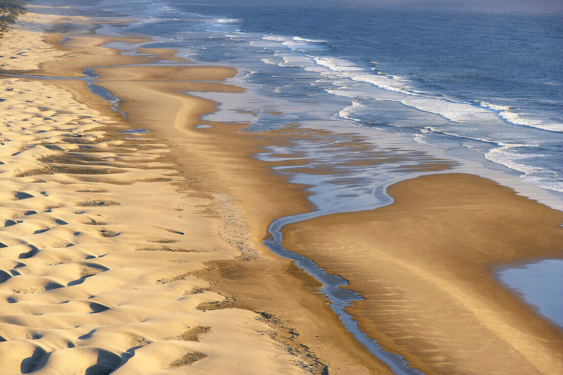 Sand dunes at the Pacific-Coast near Florence , Oregon , U.S.A. , America