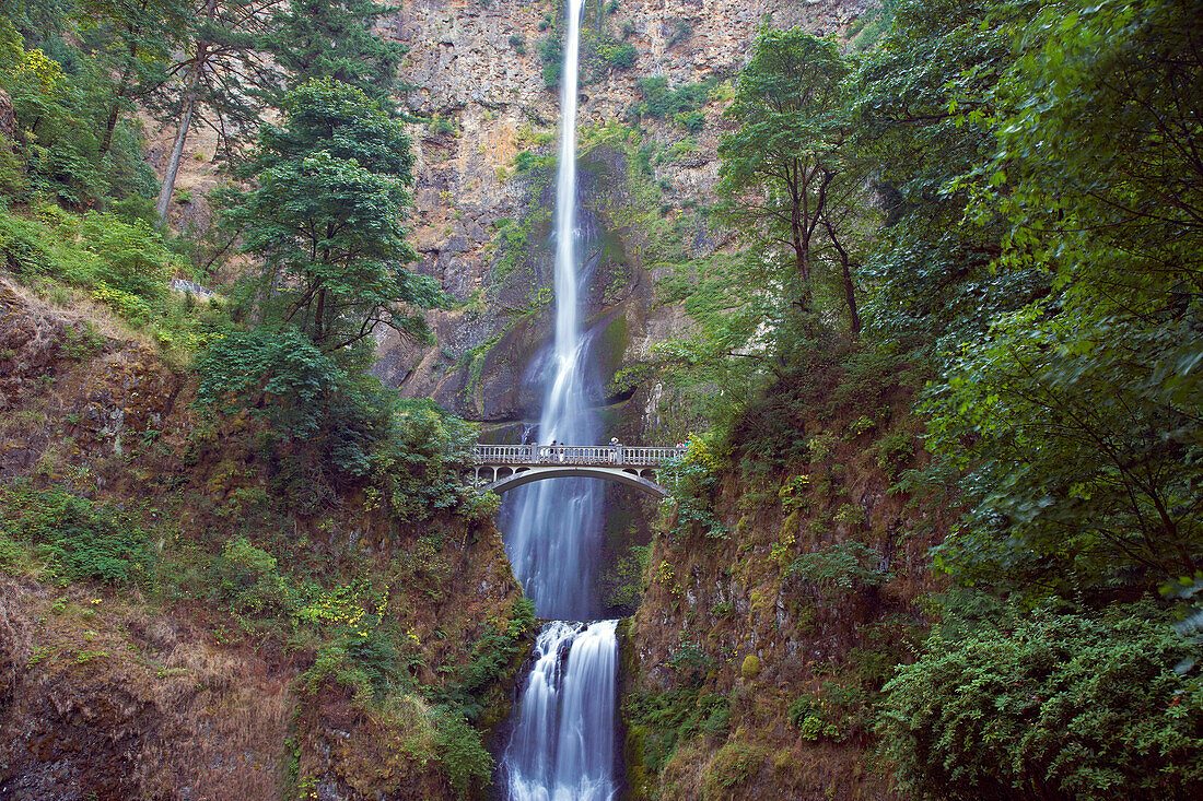 Blick auf die <Multnomah Falls> und <Benson Footbridge> , Columbia River Gorge , Oregon , U.S.A. , Amerika