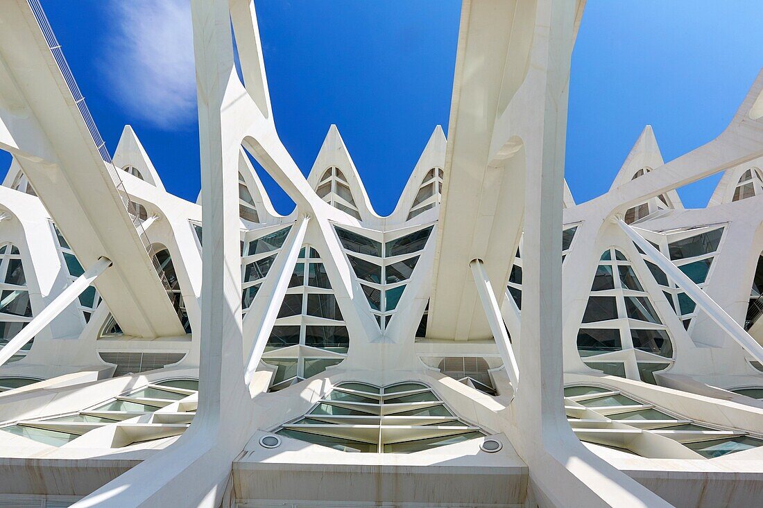 Wissenschaftsmuseum. CAC. Architekt Santiago Calatrava, Ciudad de las Artes y de las Ciencias. Stadt der Künste und der Wissenschaften. Valencia. Comunidad Valenciana. Spanien.