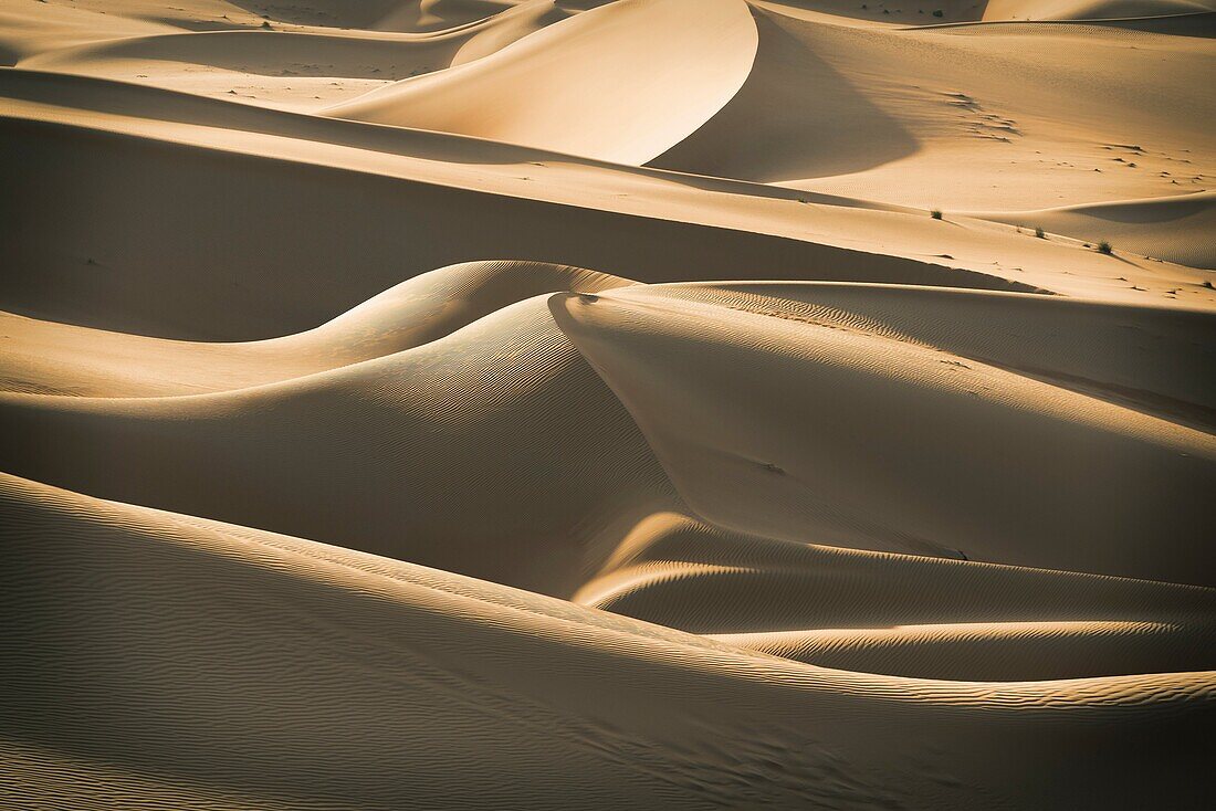 United Arab Emirates, Abu Dhabi, Empty Quarter Desert, Rub Al Khali.