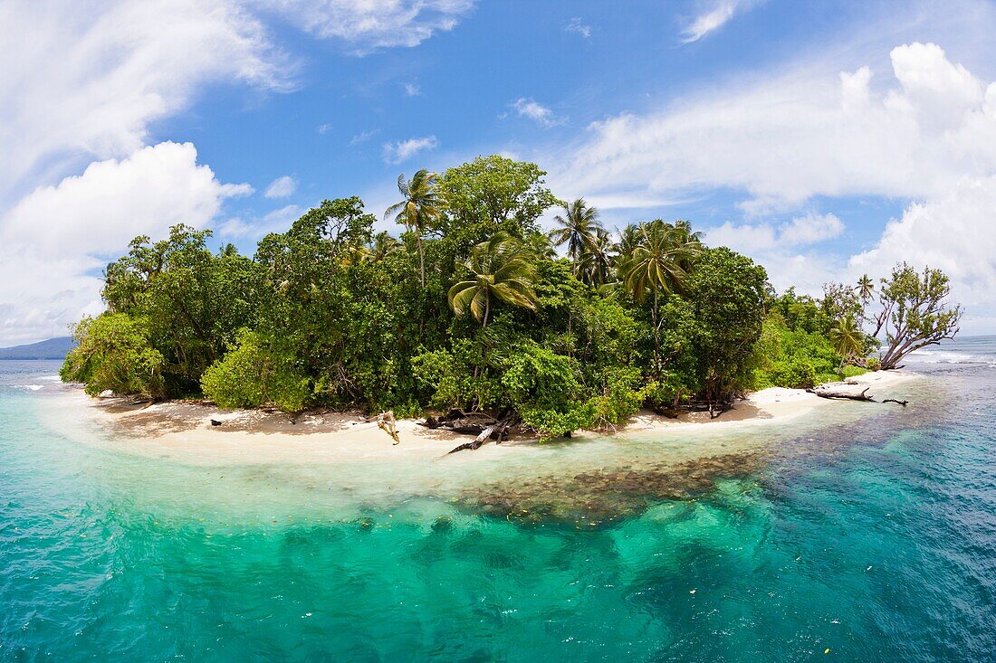 Wickham Island, Marovo Lagoon, Solomon Islands.