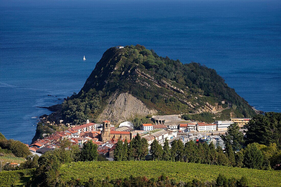 Spain, Guipuzcoa, Getaria, Landscape with Txakoli vineyards