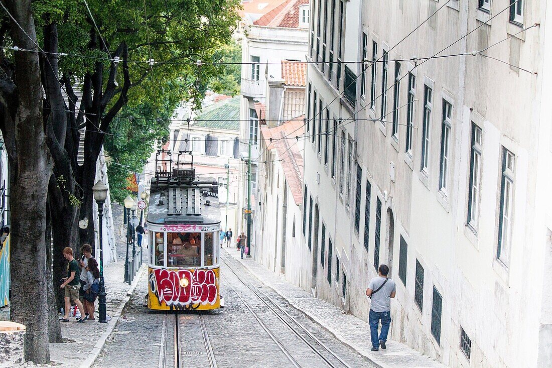 Tram in Calcada de Gloria, Lisbon, Portugal.