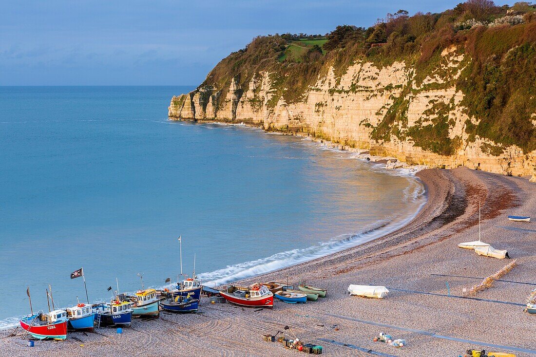 Beer beach, Devon, England, United Kingdom, Europe.