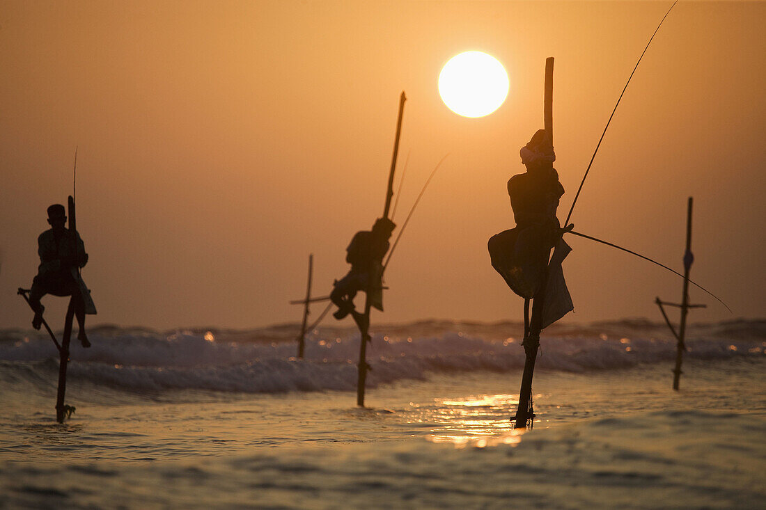 Stilt fishermen in Kogalla, Sri Lanka