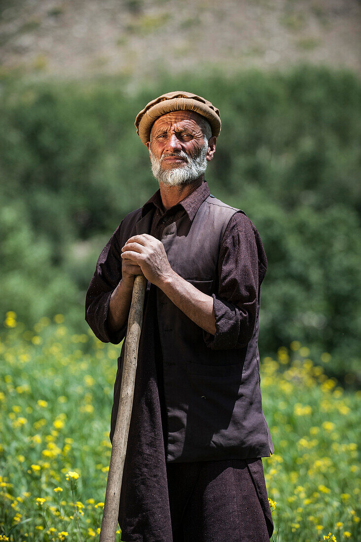A farmer standing in a wheat field mixed with rapeseed oil in the Panjshir Valley, Afghanistan, Asia