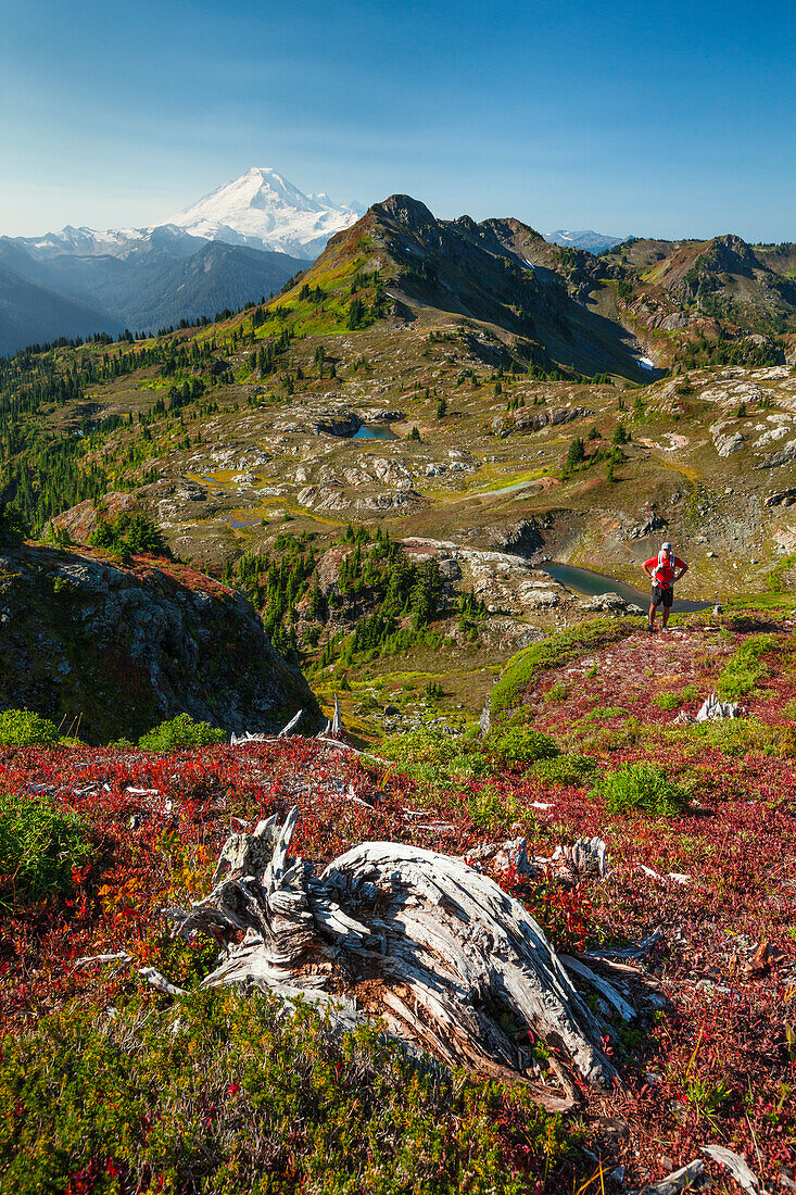 Backpacking through Tomyhoi Meadows in North Cascade National Park  Keep Kool Butte and Mount Baker dominate the horizon