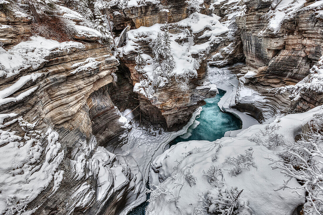 'Athabasca canyon, Athabasca Falls, Jasper National Park; Alberta, Canada'