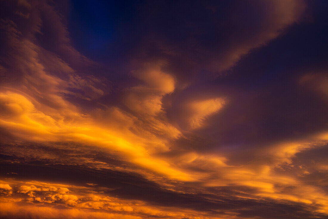 'Dramatic colourful clouds at sunset with interesting formations and some blue sky; Calgary, Alberta, Canada'