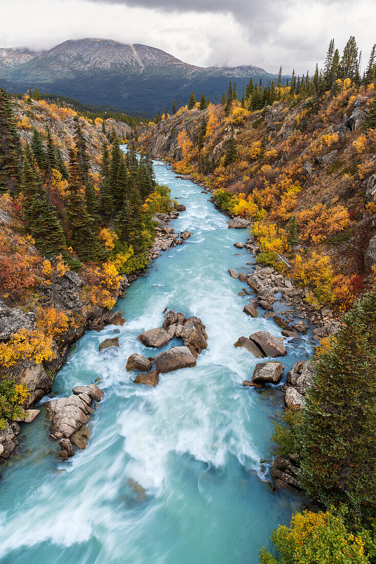 The Tutshi River canyon as seen from the suspension bridge, British Columbia, Canada, Fall.