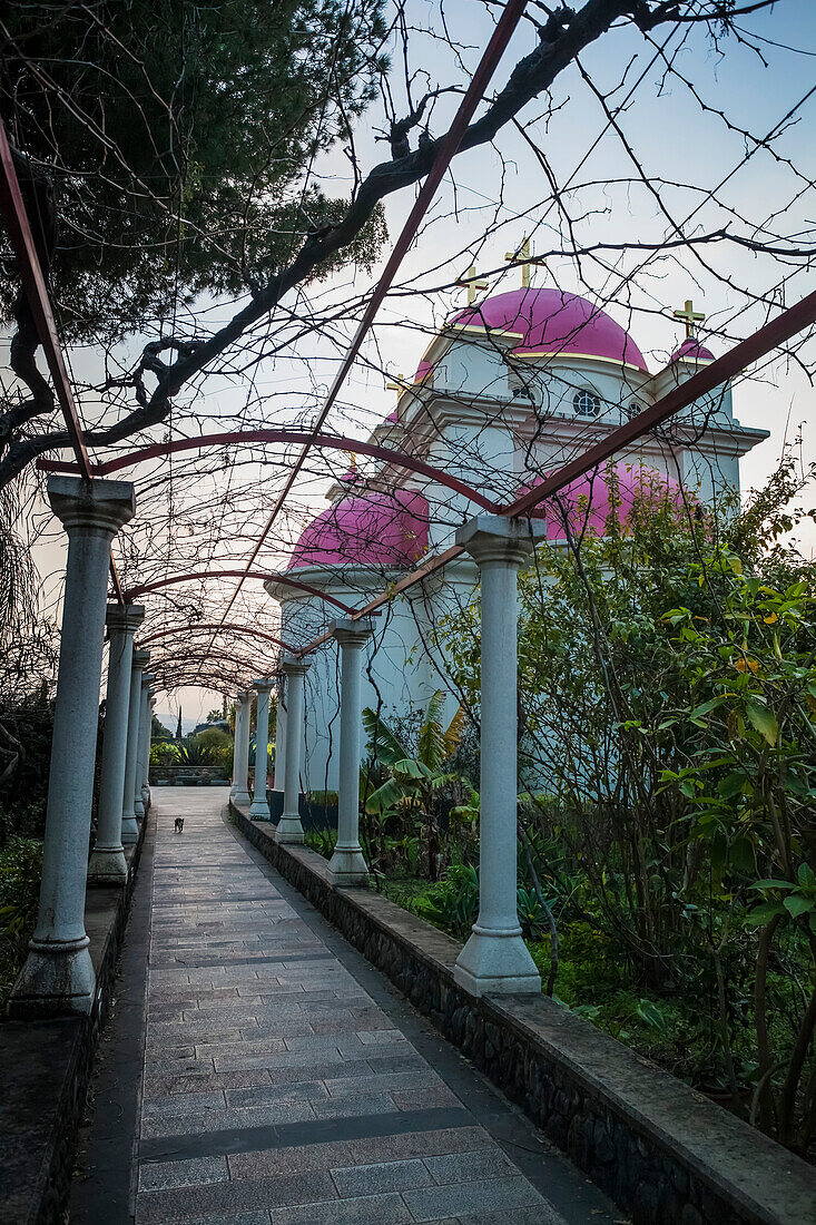 'Greek Orthodox Church with pink domes and gold crosses; Capernaum, Israel'