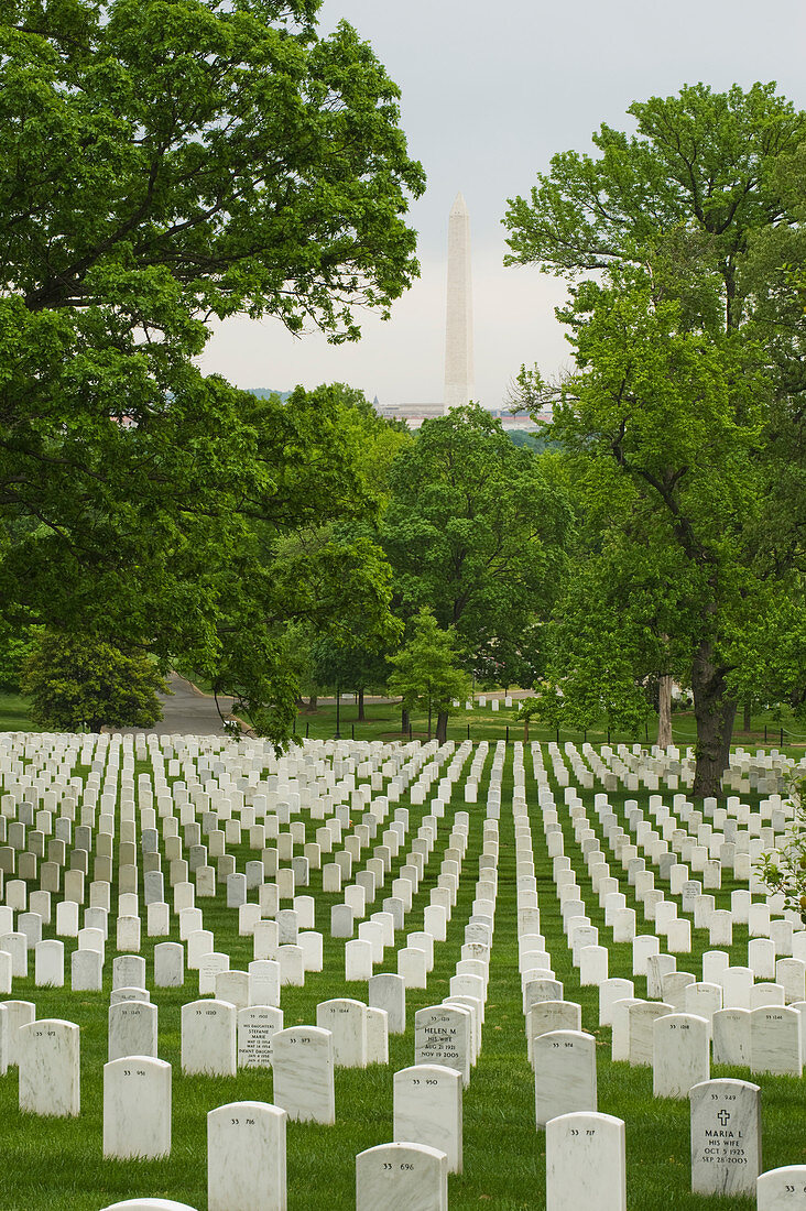 'Rows of grave stones at Arlington National Cemetery, with the Washington Monument across the river in Washington, D.C.; Arlington, Virginia, United States of America'