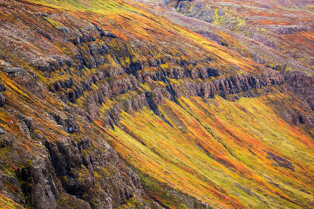 'The steep sided cliffs of Icelands Westfjords are very colourful in any season; Iceland'