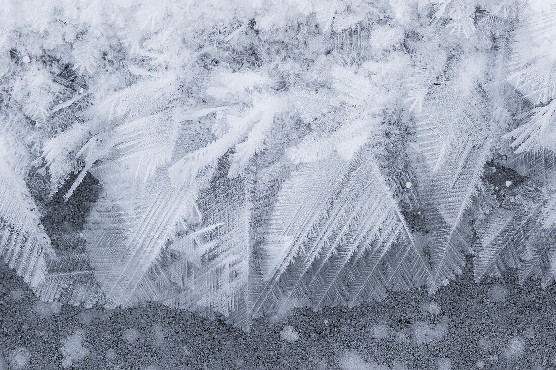 'Ice crystals on ice; Manitoba, Canada'