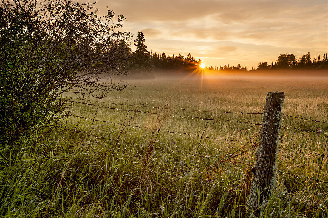 'Sunrise over dewy grass field; Thunder Bay, Ontario, Canada'