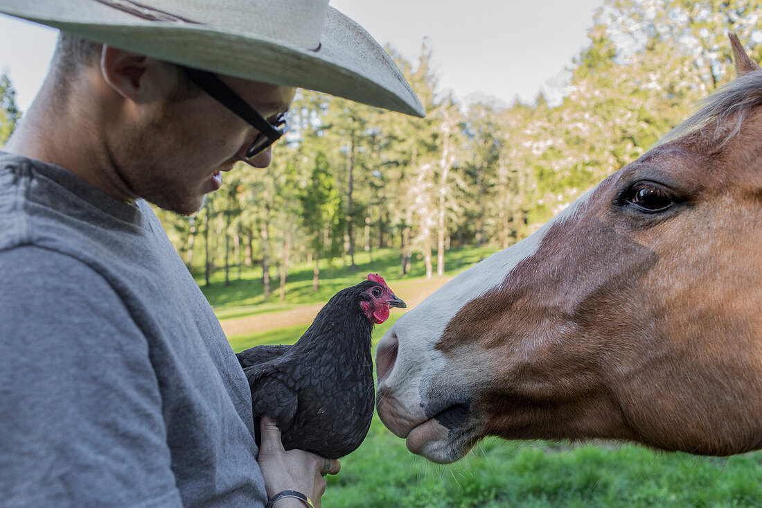 Caucasian farmer holding chicken face to face with horse
