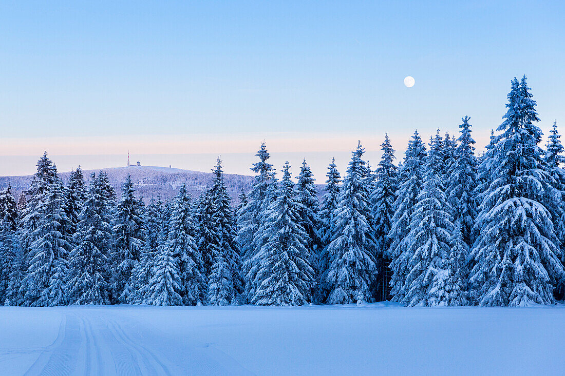 View to Brocken mountain with full moon, winter landscape, fir trees covered with snow, Harz, Sankt Andreasberg, Lower Saxony, Germany