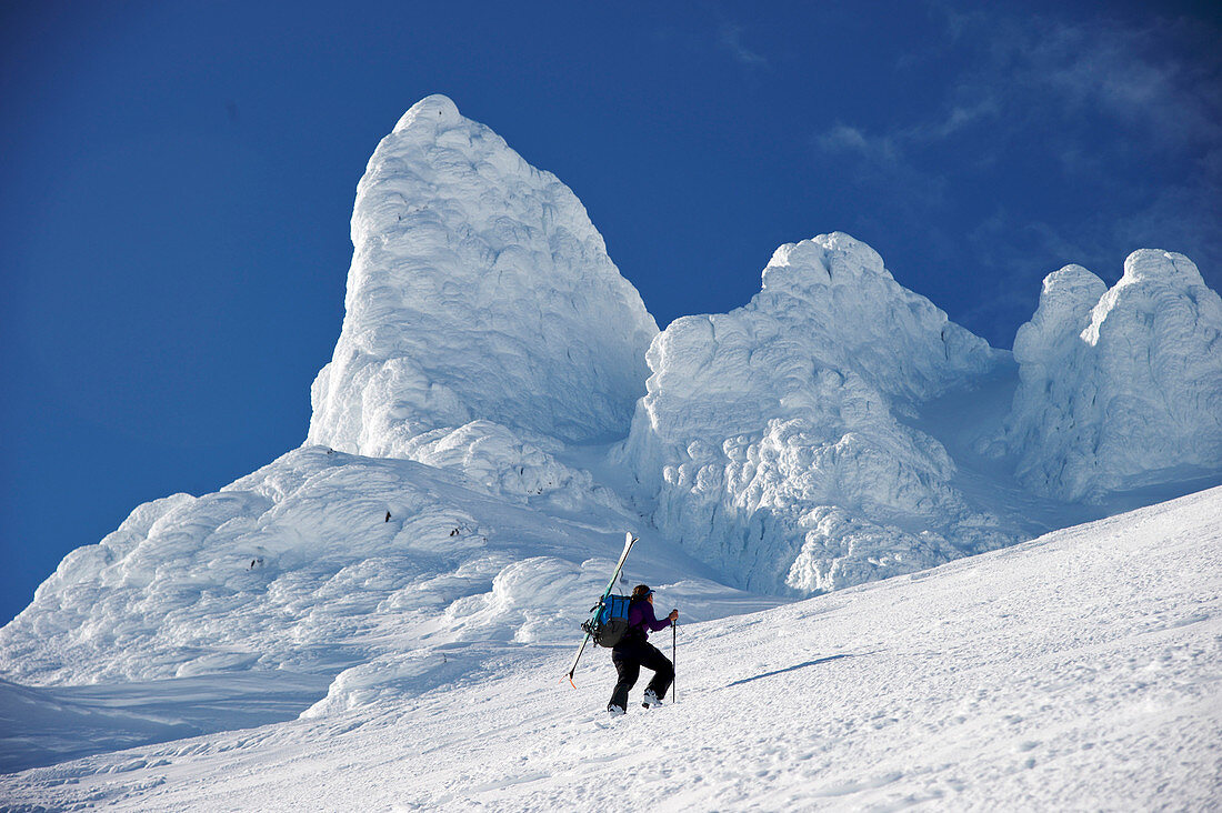 Woman skiers ascends the Northeast flanks of  Mt Augustine, a 4,025-foot high active volcano on Augustine Island in Cook Inlet, Alaska. Spires of volcanic rock and covered in rime ice tower above the skiers. The lava dome volcano is part of the Ring of Fi