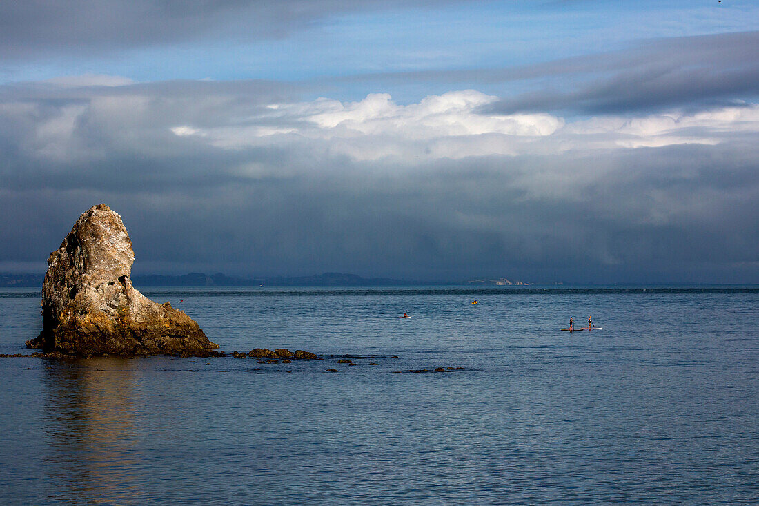 Stand up paddle boarders paddle on Tasman Bay in Nelson, New Zealand.