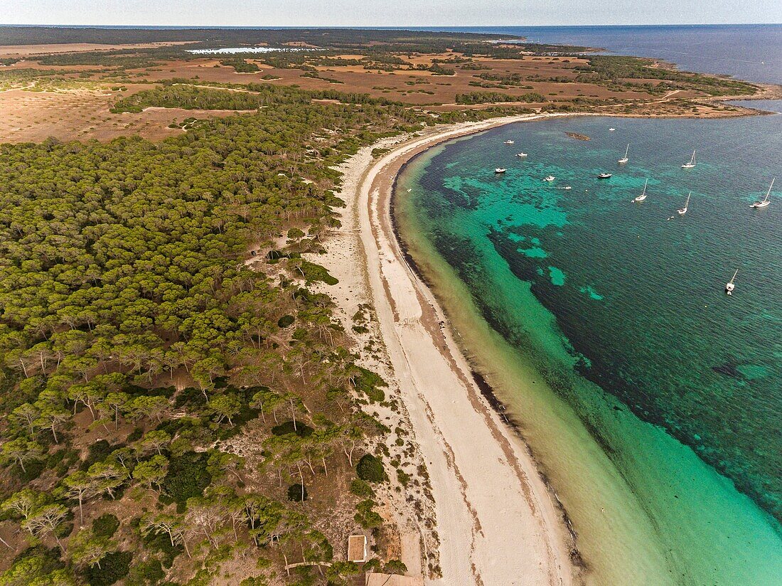 Strand von Carbó, Ses Salines, , Naturschutzgebiet, Mallorca, Balearen, Spanien