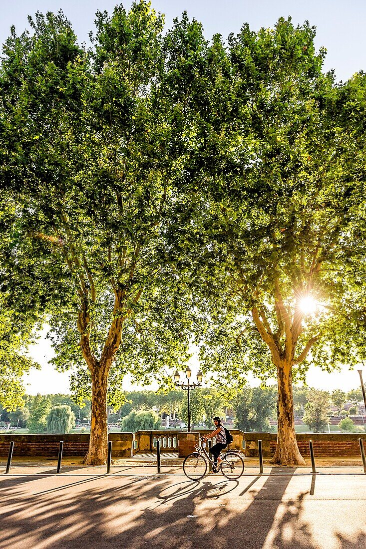 Biking in Quai de Tounis, Toulouse (Haute-Garonne Department, Midi-Pyrénées Region, France).