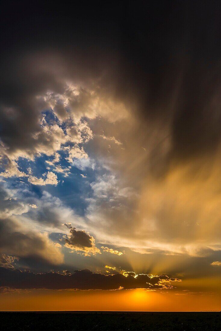 A dramatic sunset during the wheat harvest, Goodland, Kansas USA.