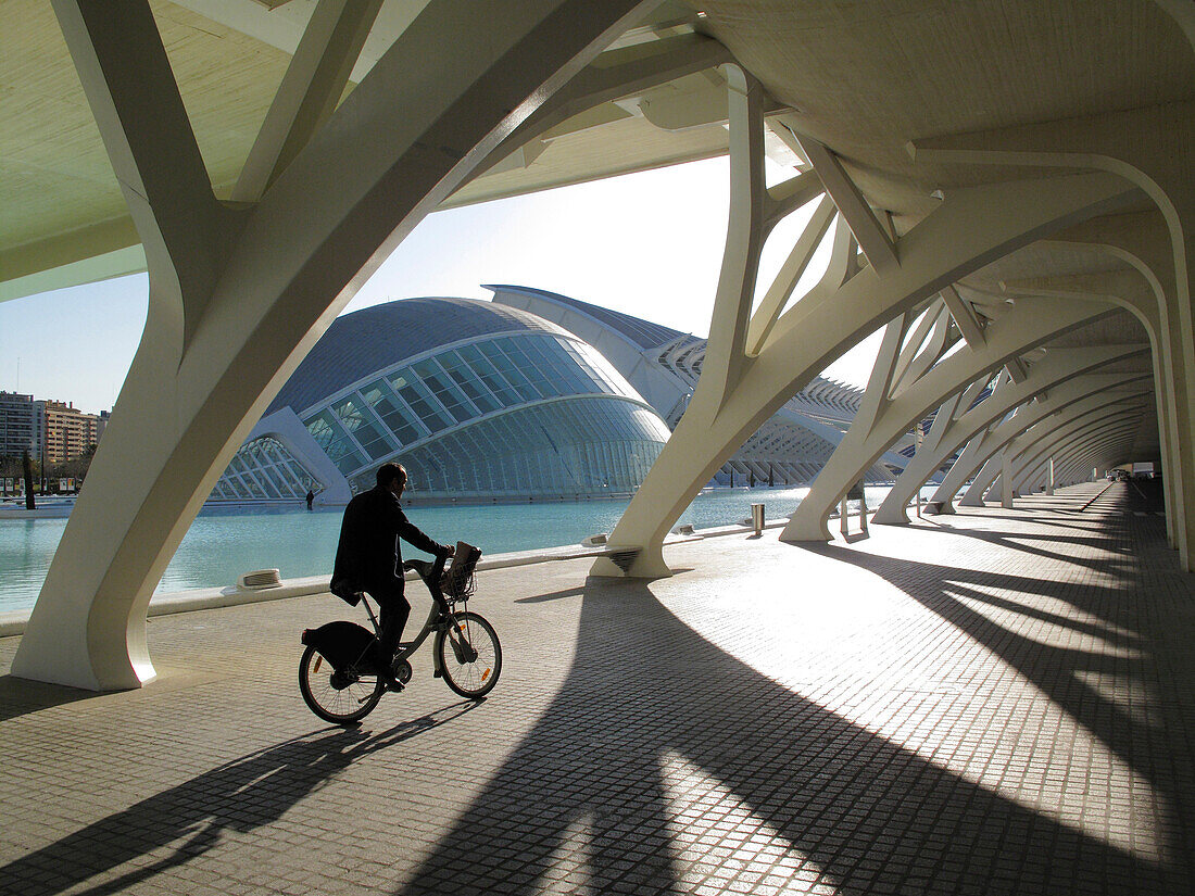 City of the arts and the sciences Arq  Santiago Calatrava  Valencia, Spain