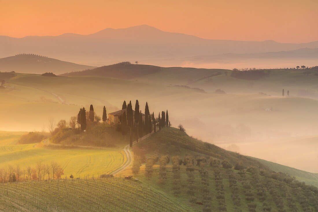 Podere Belvedere, San Quirico d'Orcia, Val d'Orcia, Tuscany, Italy.