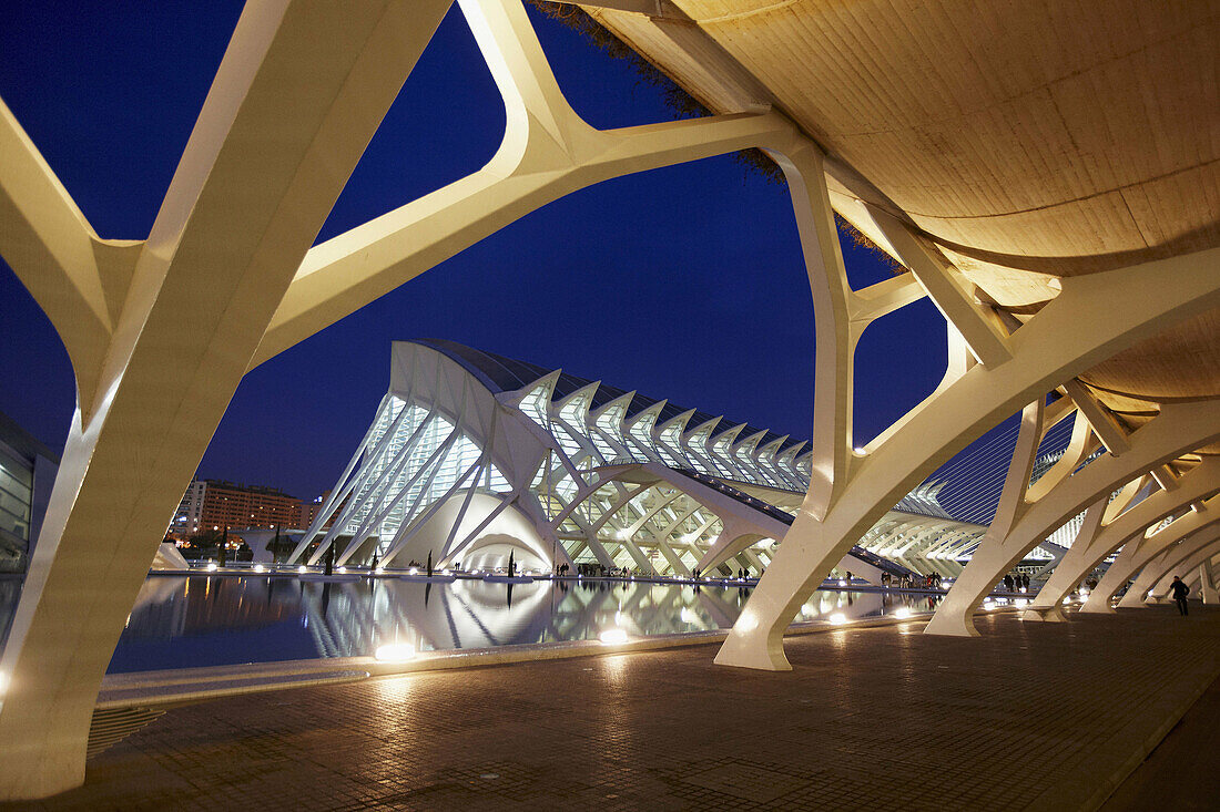 Prince Felipe Museum of Sciences, City of Arts and Sciences, Valencia. Comunidad Valenciana, Spain