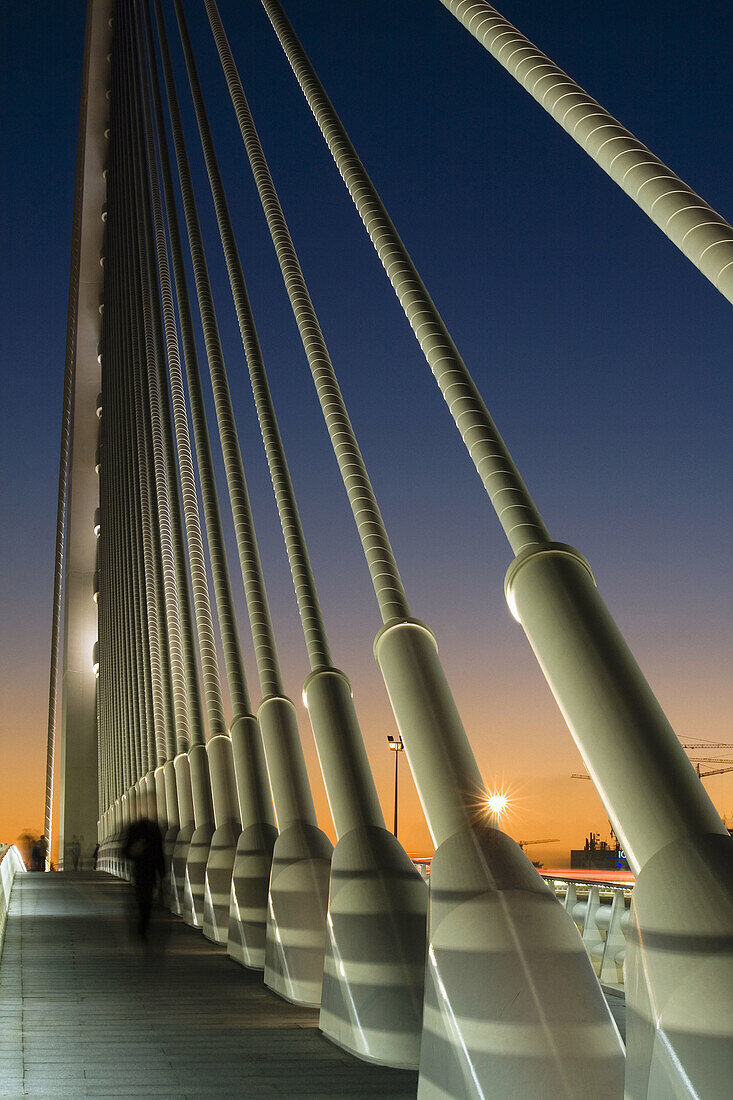 Vista de la Ciudad de las Artes y las Ciencias desde el puente de l´Assut d´Or, Valencia.