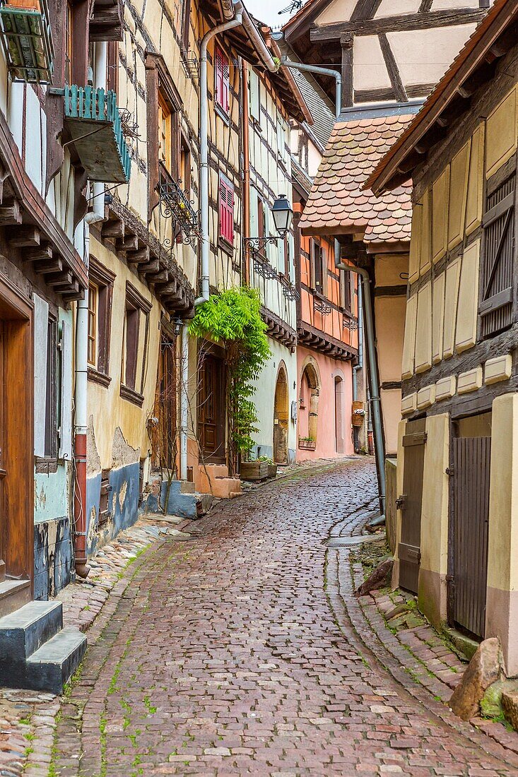 Eguisheim, Haut-Rhin, Alsace, France, Europe.