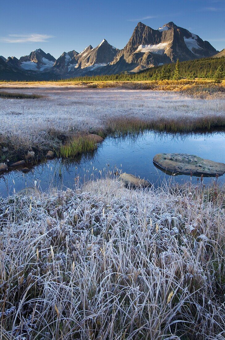 Tonquin Valley, Jasper National Park Alberta.
