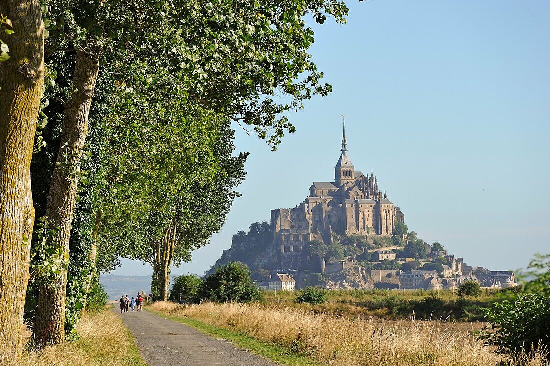 Pfad im Polder der Bucht von Mont-Saint-Michel, Departement Manche, Region Normandie, Frankreich, Europa.