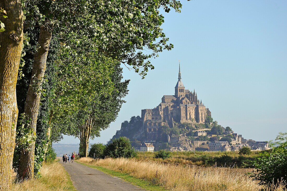 path in polders of the Mont-Saint-Michel bay, Manche department, Normandy region, France, Europe.