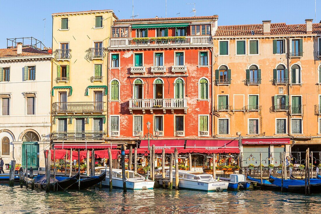 Riva del Vin, Grand Canal at Venice, Veneto, Italy, Europe.
