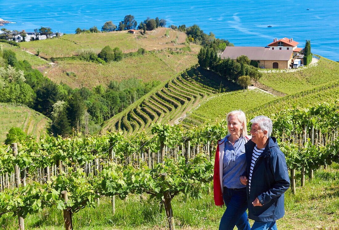 Älteres Ehepaar, 60-70, Spaziergang zwischen Txakoli-Weinbergen, Getaria, Gipuzkoa, Baskenland, Spanien, Europa