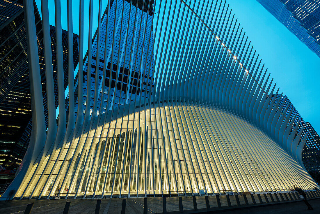 the Oculus exterior at dusk, futuristic train station by famous architect Santiago Calatrava next to WTC Memorial, Manhattan, New York City, USA, United States of America