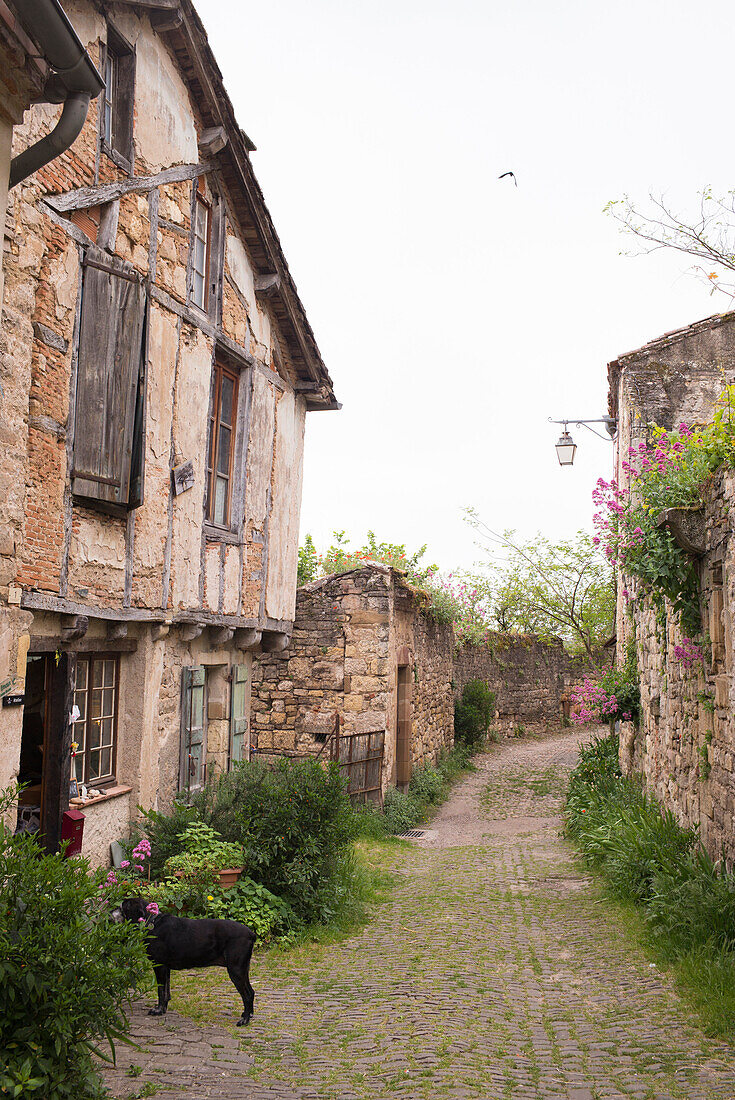 Altstadt von Cordes-sur-Ciel, Tarn, Midi-Pyrénées, Frankreich