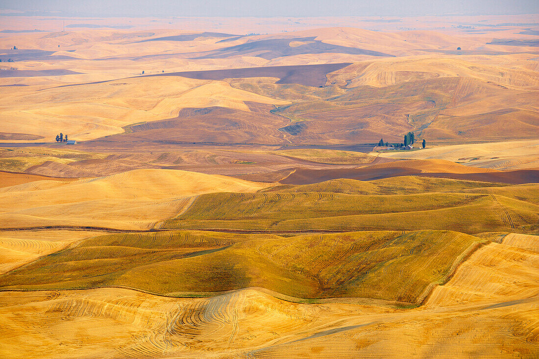 View from Steptoe Butte at the Palouse , Washington , U.S.A. , America