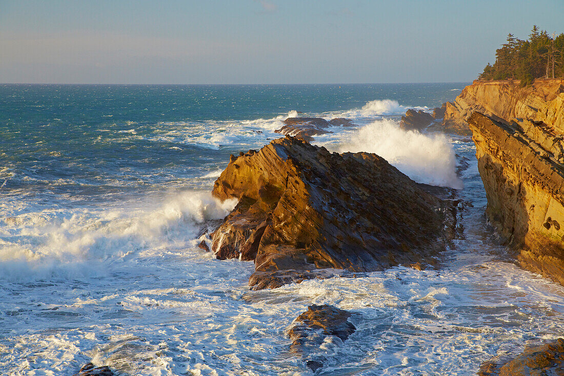 Sea stacks and steep coast and waves , Shore Acres State Park , Oregon , USA