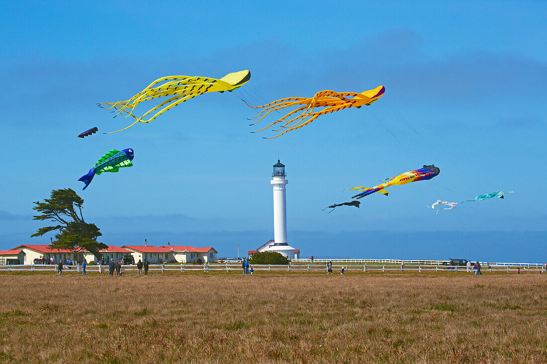 <Flower Power Festival> at <Point Arena Lighthouse> , California , USA