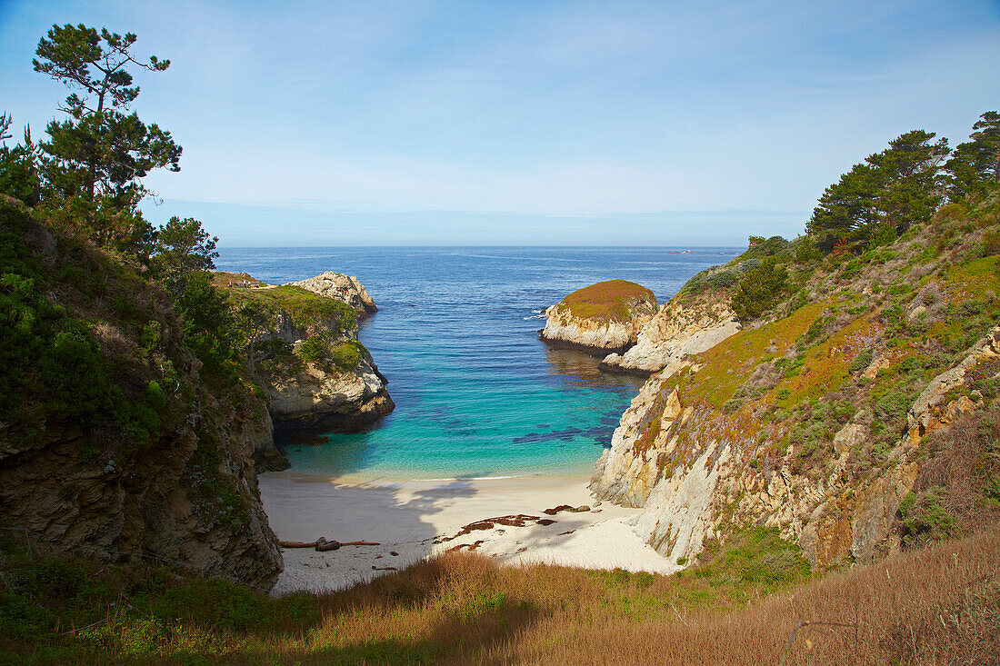 <Point Lobos State Natural Reserve> , Pacific Ocean , Southwestern California , California , USA