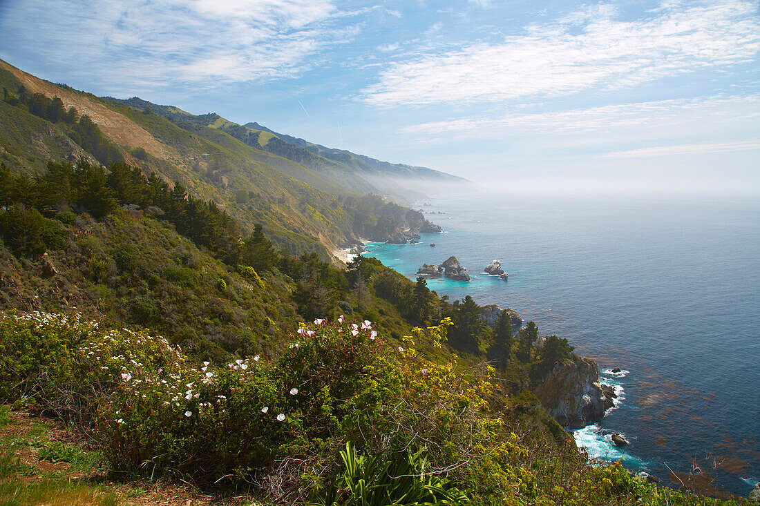 Pacific coast near <Big Sur> , <All American HWY> , Pacific Ocean , Southwestern California , California , USA
