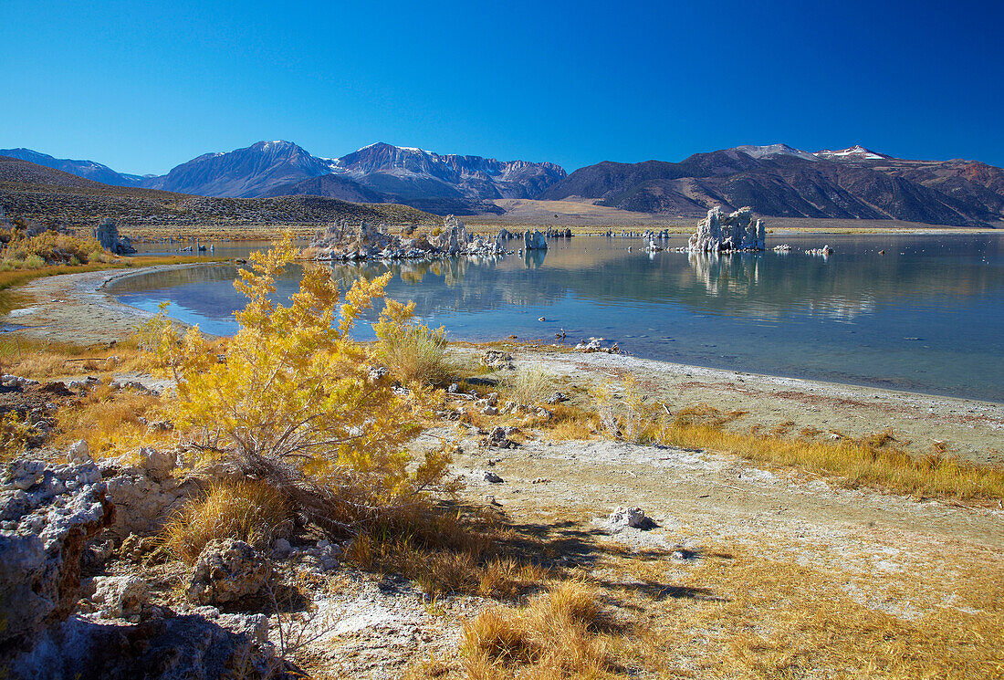 South Tufa , Mono Lake , Sierra Nevada , California , U.S.A. , America