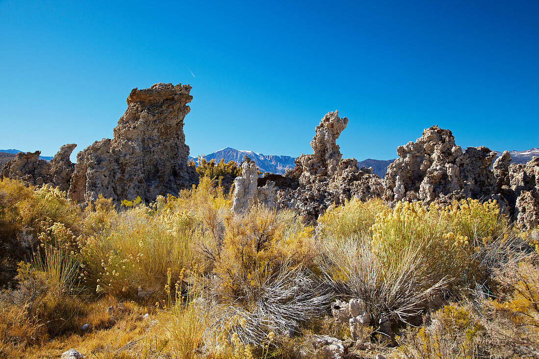 South Tufa , Mono Lake , Sierra Nevada , California , U.S.A. , America