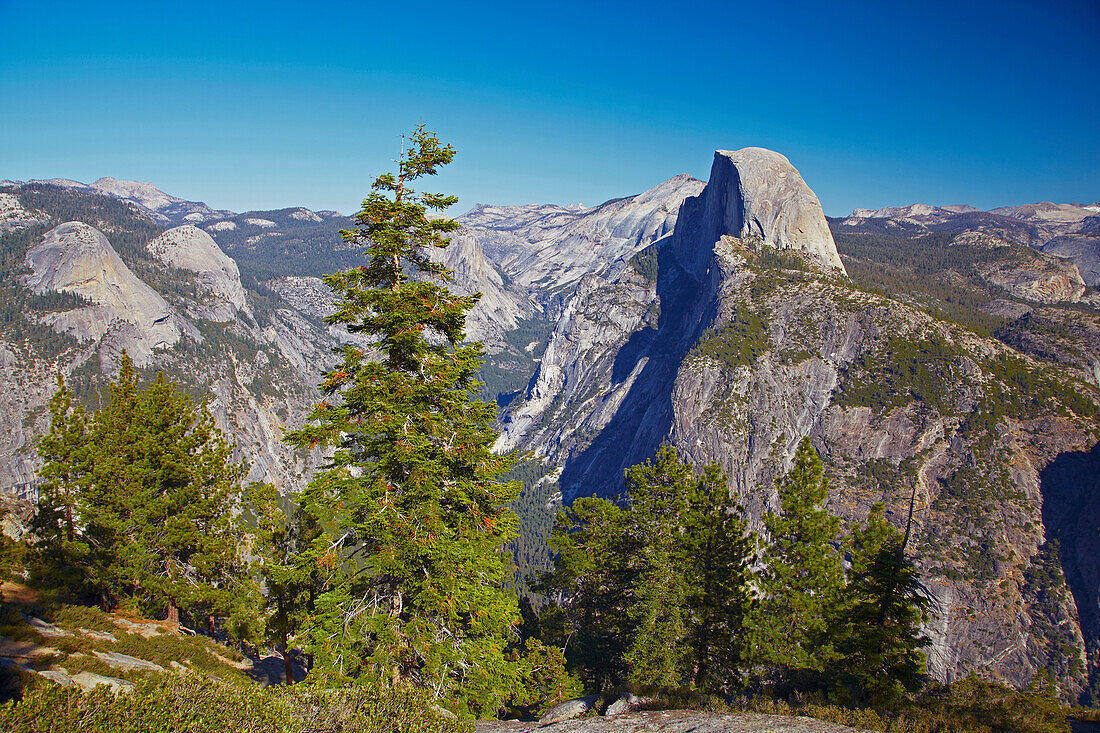 Blick vom Glacier Point auf Half Dome , Yosemite National Park , Sierra Nevada , Kalifornien , U.S.A. , Amerika