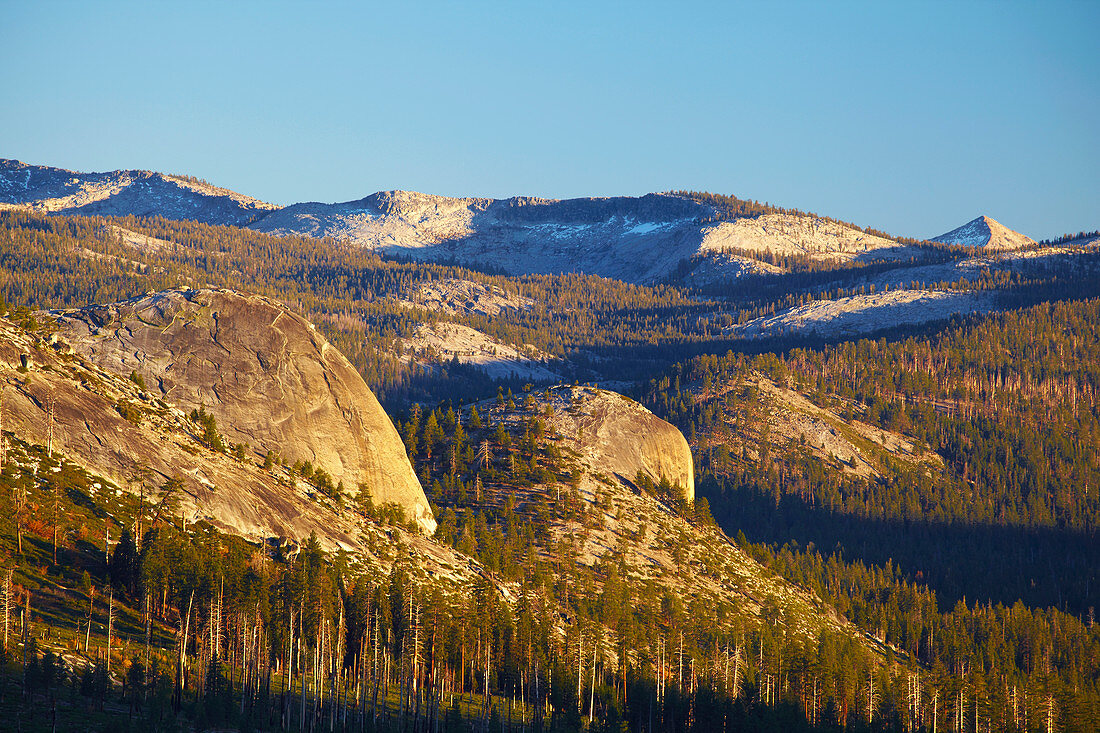 Blick vom Glacier Point auf die High Sierra , Yosemite National Park , Sierra Nevada , Kalifornien , U.S.A. , Amerika