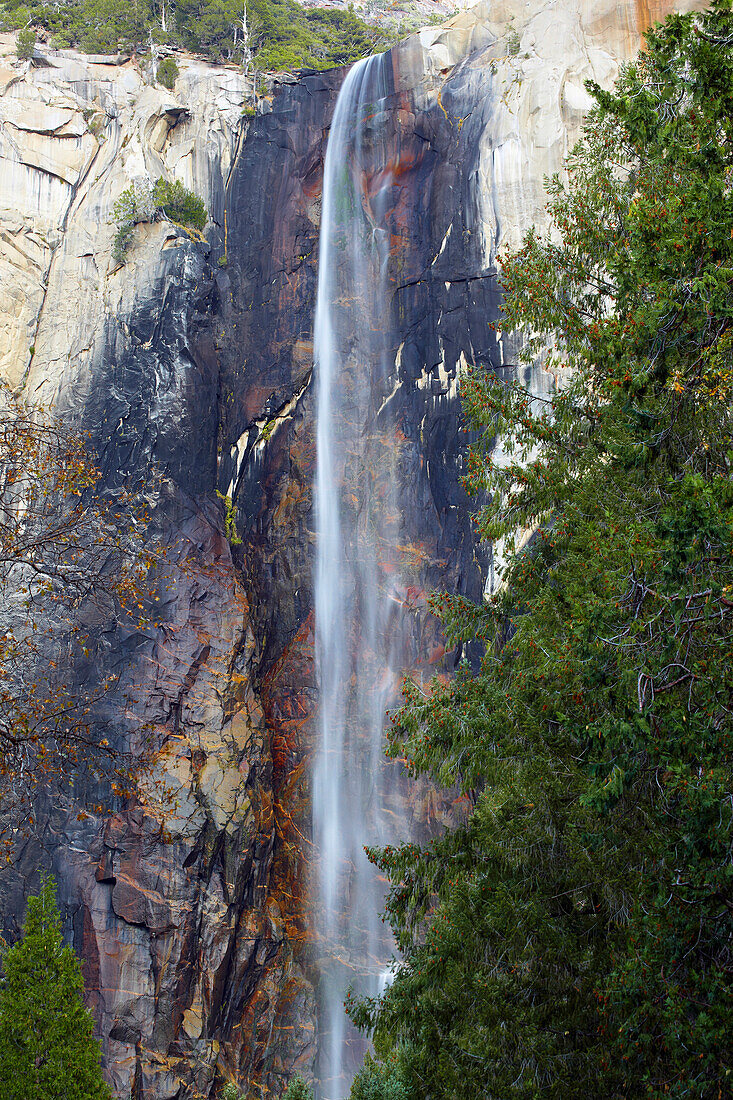 Blick zum  Bridalveil Fall , Yosemite Valley , Yosemite National Park , Sierra Nevada , Kalifornien , U.S.A. , Amerika