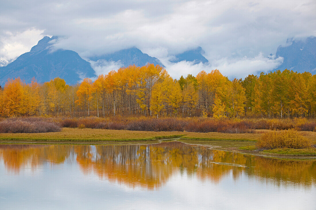 Herbstlaub am Oxbow Bend , Snake River , Teton Range , Grand Teton National Park , Wyoming , U.S.A. , Amerika