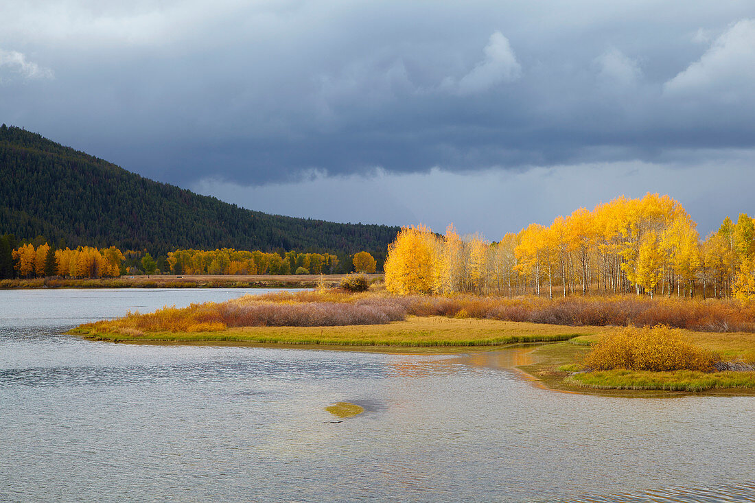 Autumnal tints at Oxbow Bend , Snake River , Grand Teton National Park , Wyoming , U.S.A. , America